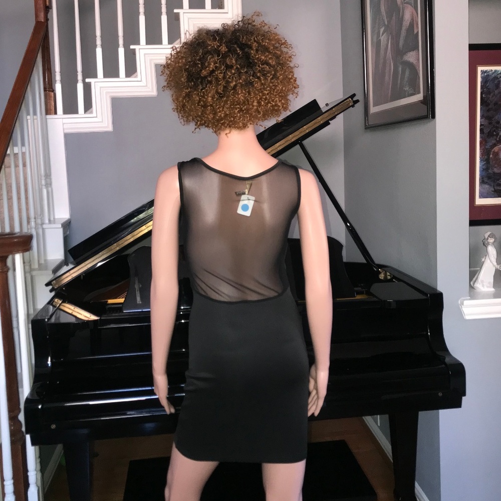 Mesh Bodycon - Picture 2 of 2